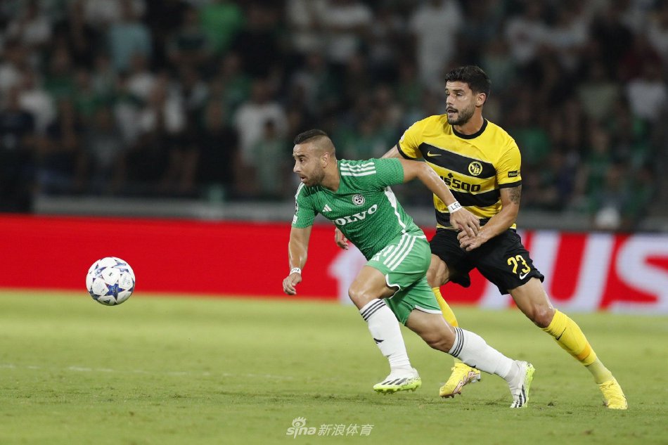 和团队协作 和团队协作